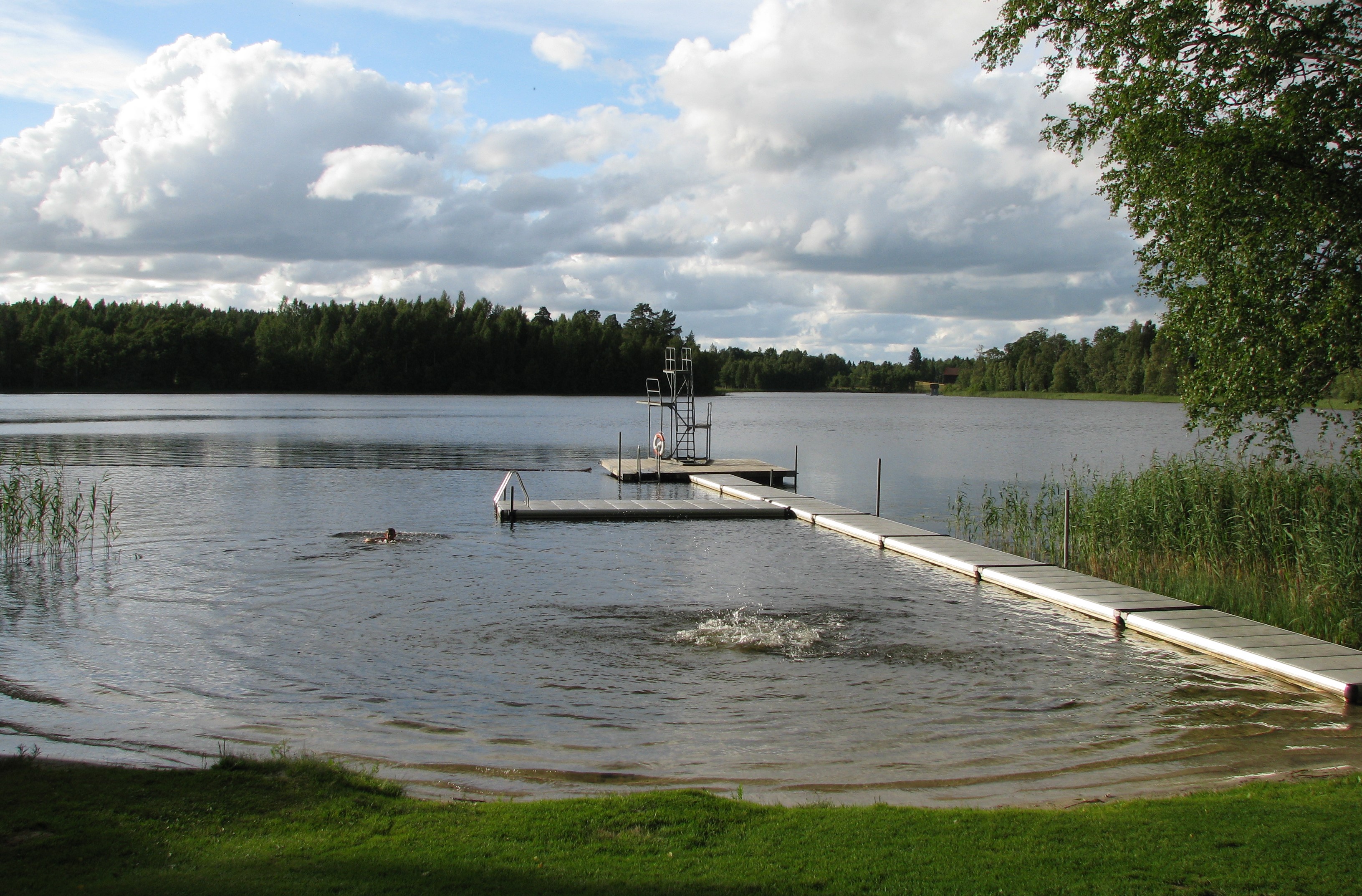 En brygga i Veden med träd runt omkring i Askersunds kommun
